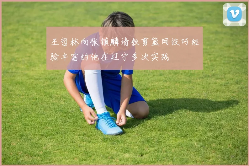 王哲林向张镇麟请教剪篮网技巧经验丰富的他在辽宁多次实践