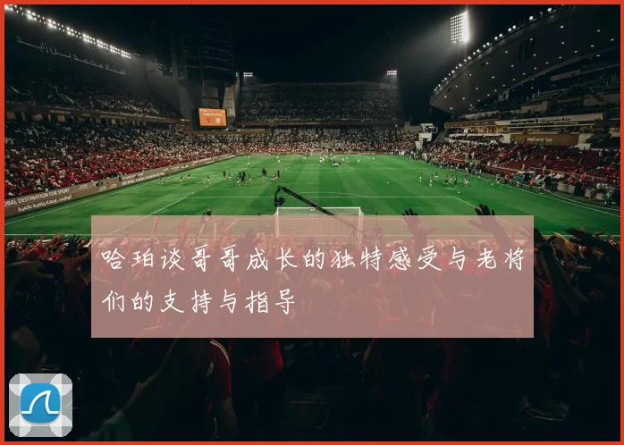 哈珀谈哥哥成长的独特感受与老将们的支持与指导